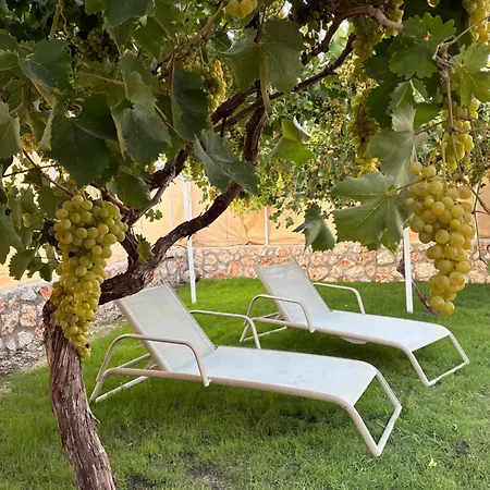 Eylem Villa Kadikoy (Fethiye)
